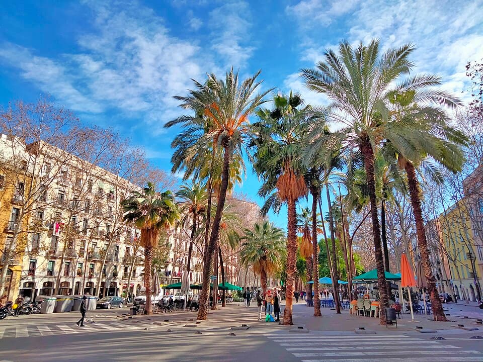 Rue du quartier El Raval à Barcelone avec des palmiers et des immeubles typiques
